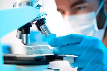 best pathology lab in bhawanipur, best lab for blood test in bhawanipur, best nabl lab in bhawanipur